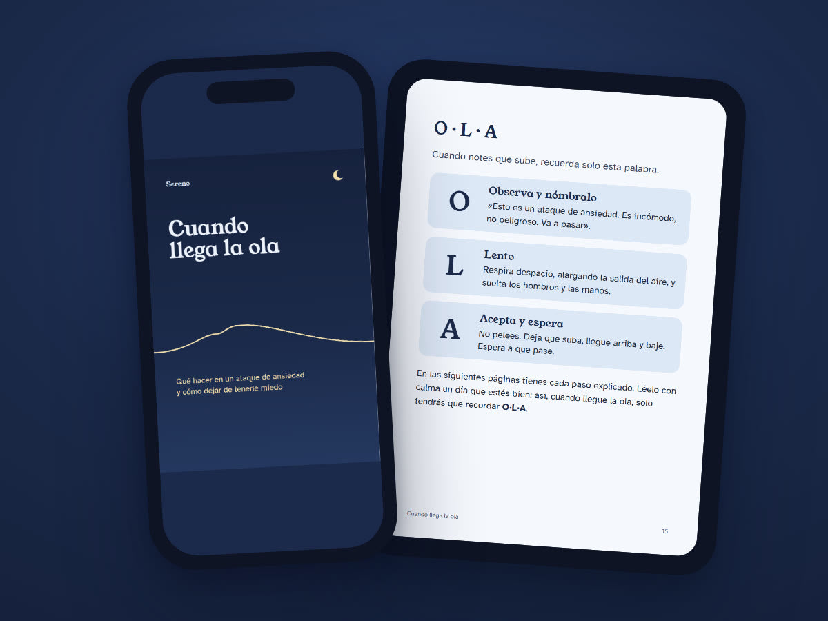 Ebook Cuando llega la ola
